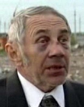 Vladimir Gorkov as 