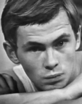 Vladimir Tsarkov as Вилька