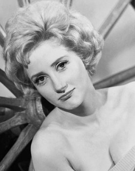 Liz Fraser as Tea Lady