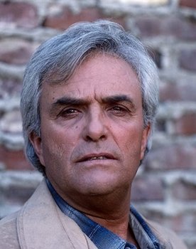 Ed Nelson as Dino Michaelis