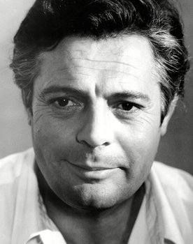 Marcello Mastroianni as Ludovico D'Andrea