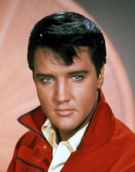 Elvis Presley as Rusty Wells