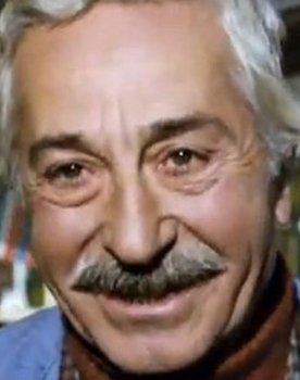 Haydar Karaer as 