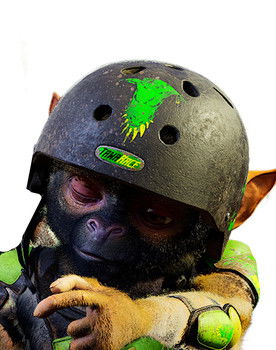 Tim as le saïmiri 4