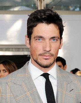 David Gandy as Self