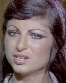 Nilgün Ceylan as Hale