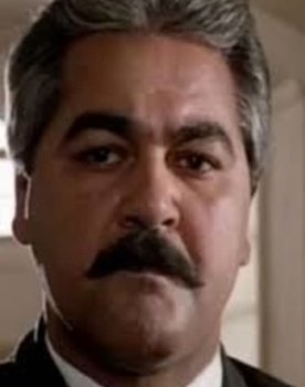 Mustafa Metwalli