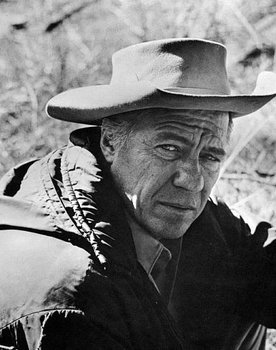 Robert Bray as Nichols