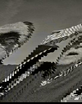 Julius Shulman as Self