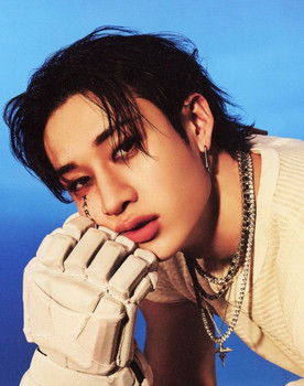 Bang Chan as Self - Guest