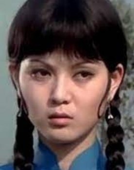 Kung Pow: Enter the Fist