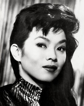 Yoko Tani
