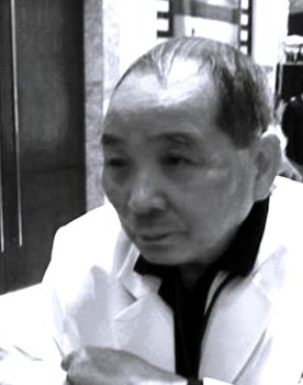 Trần Trung Nhàn as Mr. Đán