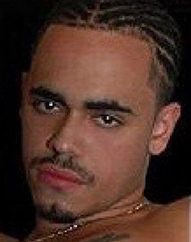 Latin Stallion