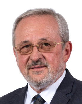 Ivica Šarić as Himself