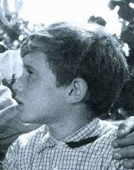 Giancarlo Damiani as Mario