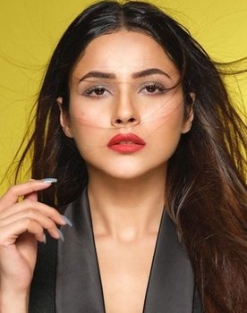 Vicky Vidya Ka Woh Wala Video