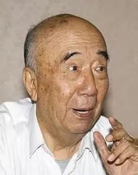 Li Ding as 冯导演