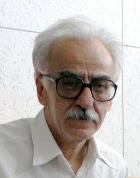 Mohammad Tahaminejad as 