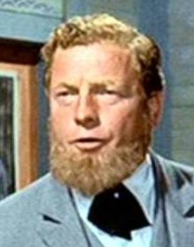 Josip Zappalorto as gospodin Bolner
