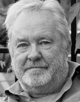 Mihkel Smeljanski as Mine's Director