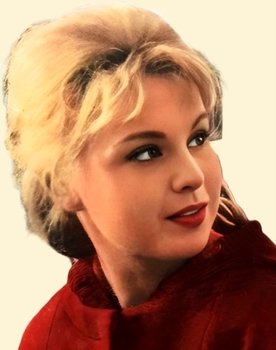 Françoise Danell as Elsa