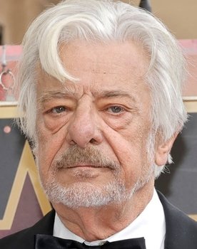 Giancarlo Giannini as Il gatto