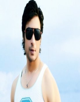 Veer