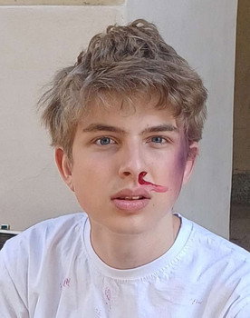 Relja Isailović as Miloš