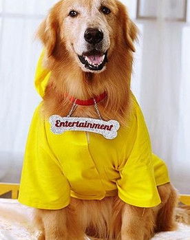 Junior as Entertainment