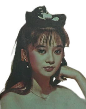 应晓薇 as 赵琪瑛