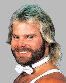 WWE: The Best of Sting