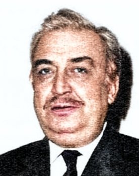 Asım Nipton as 