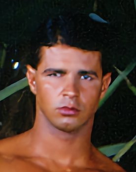 Island Fever