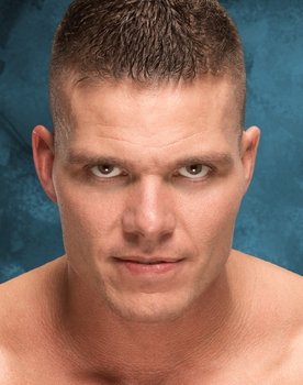T.J. Wilson as Himself
