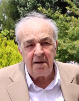 Antonis Tempos as Officer Tempos