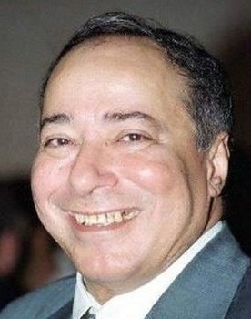 Salah El-Saadany as Elwani