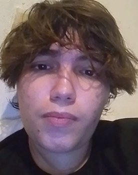 Sebastian Dantas as O Pássaro