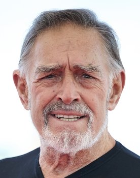 Fabio Testi as Mario Ferramonti