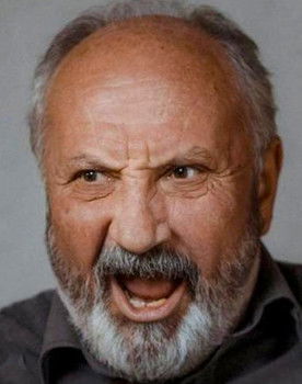 Petar Mirčevski as Mihajlović