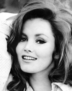 Quinn O'Hara