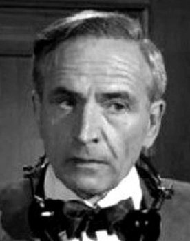 Martin Brandt as 