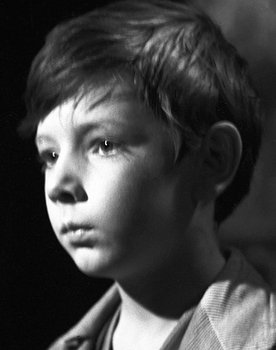 Mój stary