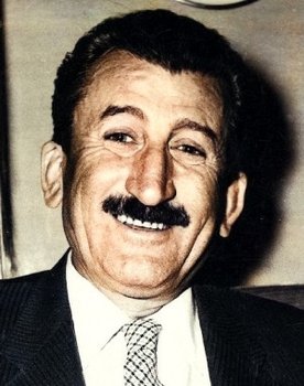 Salih Tozan as Bayram