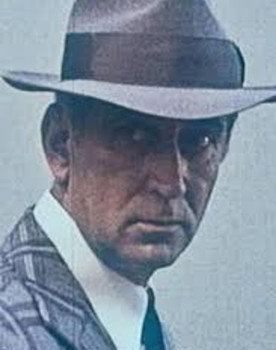 Slobodan Aligrudić