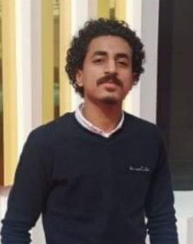 Ahmed Bibo as Hossam