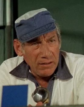 Michael Fox as Maj. Scott