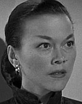 I Was an American Spy