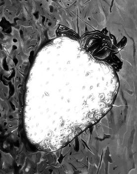 White Strawberry