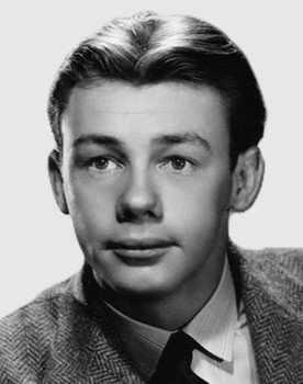 Kenny Bowers as Ray Kent